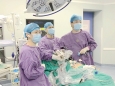 微创手术联合快速康复成功救治一名两度罹患癌症患者