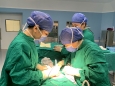 我院妇科东院院区开展首例巨大宫颈肌瘤切除手术